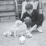 강원도 소년 원빈, 강아지들과 함께..