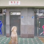 너무 <b>과도</b>한 화장실 표지판
