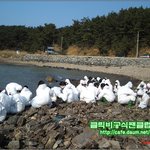 클릭비~팬들과 함께 <b>태안</b> 봉사 다녀왔네요!!