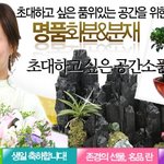 꽃<b>배달</b> 쇼핑몰 연 장윤정! 이미지랑 정말 잘 어울린다~
