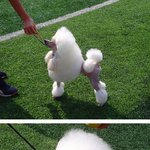 <b>육포</b>에 나 기분 업!!
