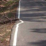 이 <b>사진</b>을 보면 <b>무슨</b> 생각이 드십니까? 귀차니즘? 게을니즘?