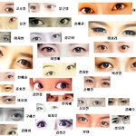 [여자연예인 눈모음] <b>눈</b>만 보면 한가인,보아 <b>눈</b>이 젤 이쁘다~