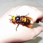 <b>내생</b>에 가장 긴장했던 순간,,,