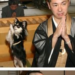 승려와 함께 두발 모아 기도하는 개.. 신기하네~