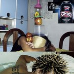 파티 금기 규칙 <b>no</b>.1 잠들지 마라~~!