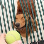 <b>집착</b>의 끝엔...............
