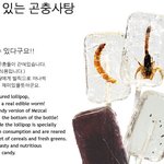 곤충<b>사탕</b> -ㅁ-