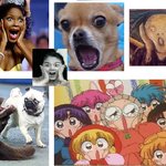 강은비 닮은꼴 총 <b>집합</b>~!