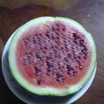 친절한 <b>수박씨</b>