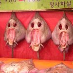 <b>스크림</b> 홍어 3형제!