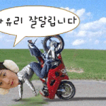 <b>사유리</b> 잘달려~