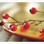 실패한 요리 되살리는 방법