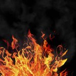 <b>불의</b> 세계