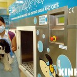 <b>드럼</b>세탁기 같은데에 개를 집어 넣네..?