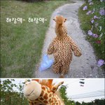 [하얀거<b>탑</b>] <b>주</b>녁이 소풍간다~