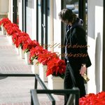 <b>대낮</b>에 맥주들고 거리로 나온 키아누리브스