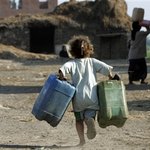 <b>흙탕물</b>이라도.. 제발 물 좀 주세요