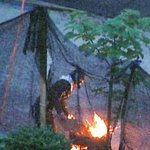 은둔생활 한다는 최민수, 땔감줍는 최근모습;