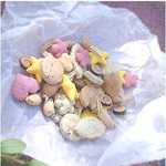 과자인줄 알았어 '웰빙 <b>사료</b>'