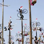 인도네시아의 독립기념일.. 이색 <b>행사</b>..