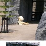 <b>설마</b> 죽은건 아니지?