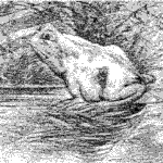 <b>착시</b> 맞습니다..