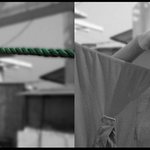 빨래집게의 진화