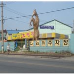 우리<b>동네</b>, 좀 엽기적인 말이 있어요