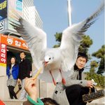 갈매기는 이제 소녀의 <b>노예</b>