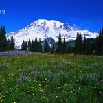 동양의 알프스! 중국 '옥룡<b>설산</b>'