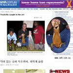 거대 괴물 <b>두꺼비</b>
