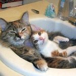 조금 <b>민망</b>한 혼탕사진.....?;;;;;;