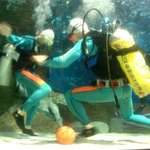 니네 <b>물속</b>에서 뭐하는 짓이야?