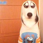 엄마가 <b>사다</b>준 옷이..
