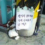 주인 잘못만나 고달픈 인생
