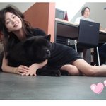 바닥에서 개랑 뒹구는 한예슬, 그렇게 좋아?