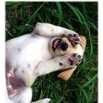 아아악! <b>내</b> <b>눈</b>이~~~