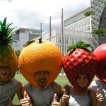 노홍철-정준하, 과일이 되어 <b>말레이시아</b> 여행!