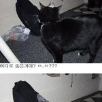 <b>제리</b> 이 놈 어디간거야?!