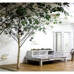 <b>도심</b> 속 정원을 가꾸는 사람들