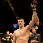 미르코 크로캅, 칙 콩고와 복귀전 확정