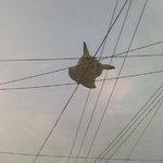 우리 동네 <b>전기</b> 끊겨도 걱정없다~