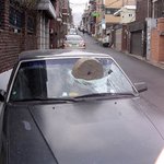 이것이 바로 <b>나이스</b>샷?!