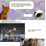 일본속의 진정한 <b>한류</b> 스타 소닌 (성선임)