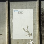 표절에도 정도의 차이가 있다!