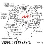 [뉴하트]출연자들의 뇌<b>구조</b>