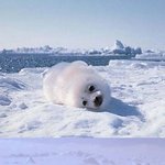 구르기 <b>전과</b> 후