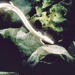 10년의 굶어도 사는 올름