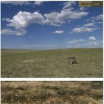 숨은그림찾기, <b>사진속</b> 군인을 찾아라